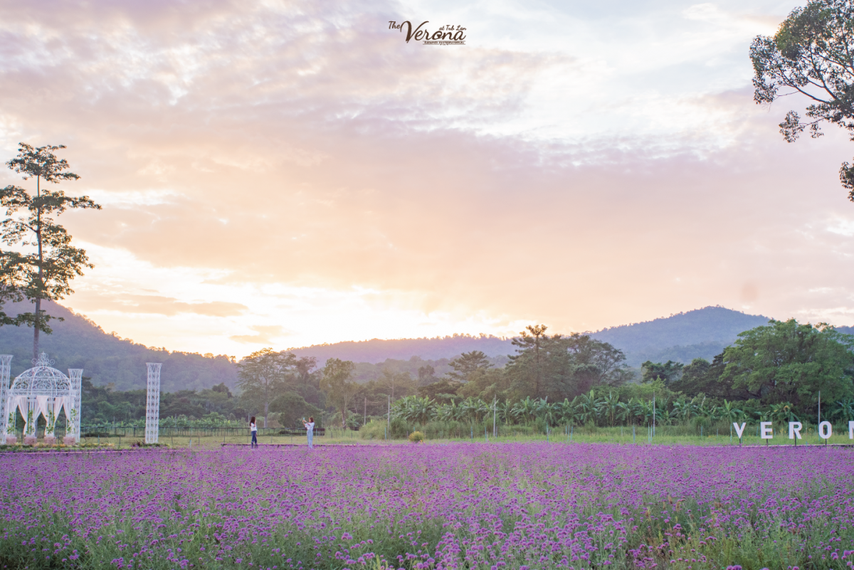 10 พิกัดสวนดอกไม้ เช็คอินถ่ายรูป สวยสุดๆ ทั่วเมืองไทย