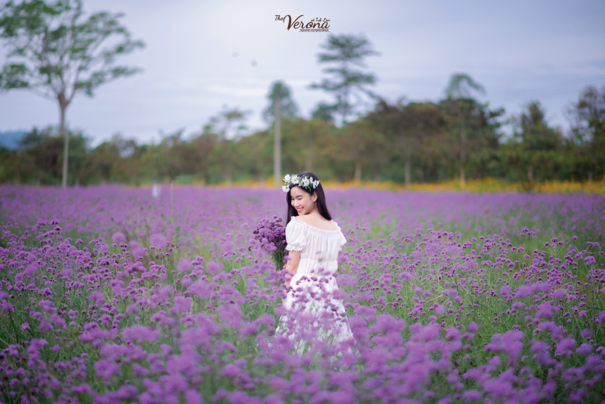 10 พิกัดสวนดอกไม้ เช็คอินถ่ายรูป สวยสุดๆ ทั่วเมืองไทย