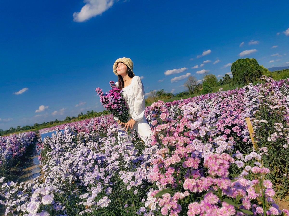 10 พิกัดสวนดอกไม้ เช็คอินถ่ายรูป สวยสุดๆ ทั่วเมืองไทย