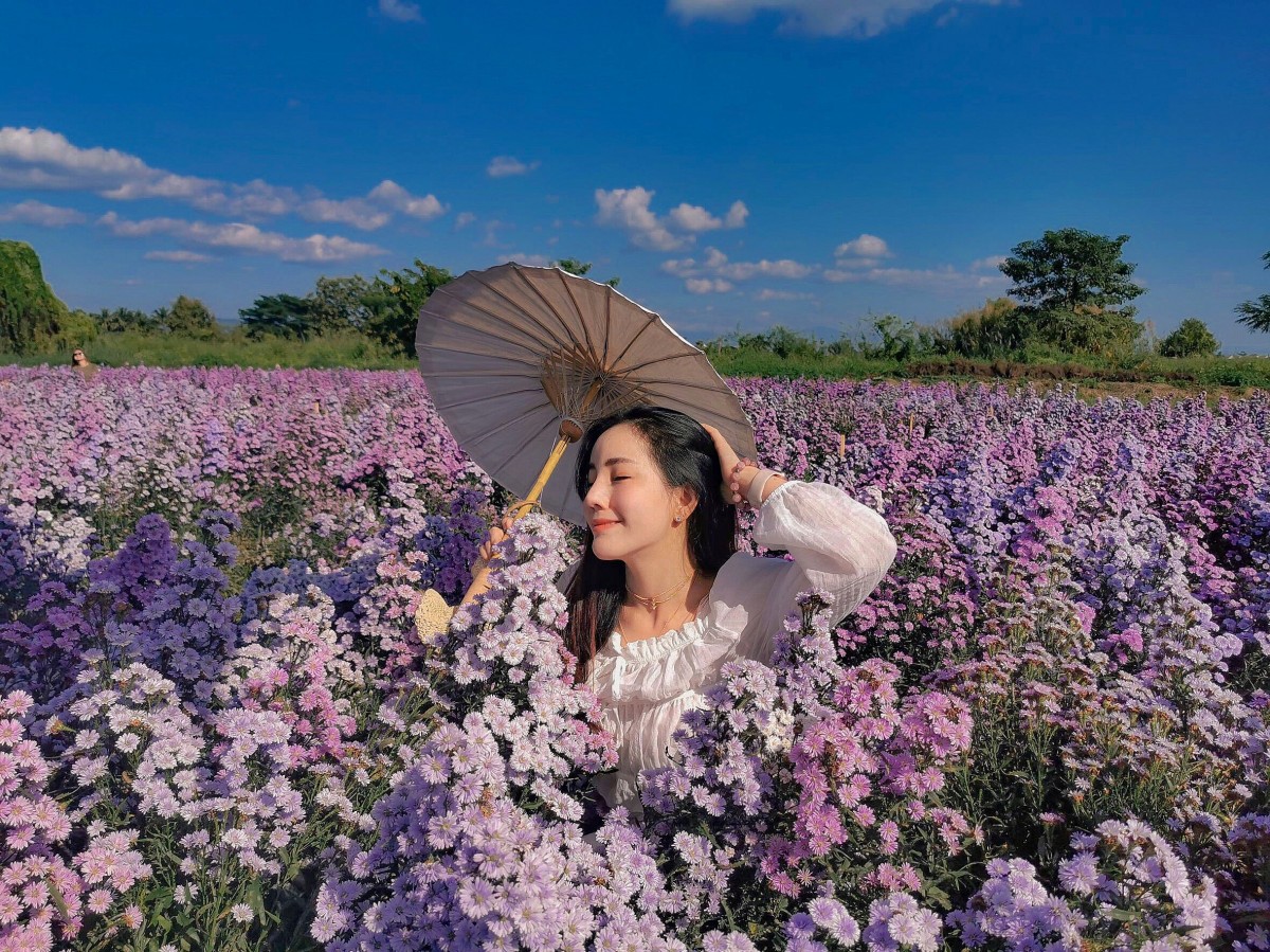 10 พิกัดสวนดอกไม้ เช็คอินถ่ายรูป สวยสุดๆ ทั่วเมืองไทย