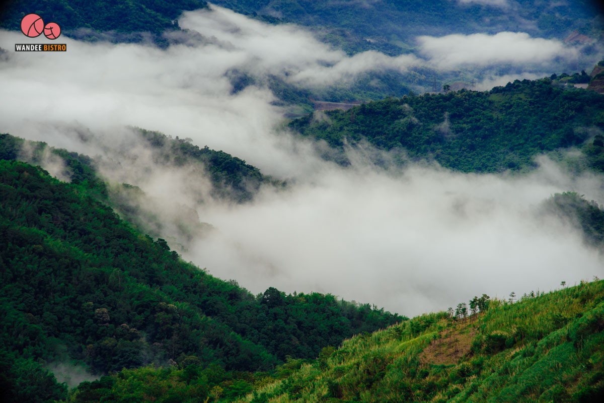 วัดพระธาตุผาซ่อนแก้ว เพชรบูรณ์ ช่วงหน้าฝน หมอกสวย สดชื่นชุ่มฉ่ำ บรรยากาศดี 