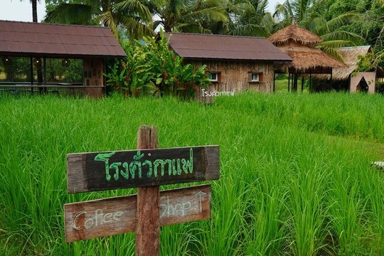 เที่ยวได้ทั้งปี วังน้ำเขียว สวิตเซอร์แลนด์แดนอีสาน รวมแลนมาร์คสำคัญไปแล้วไม่ควรพลาด