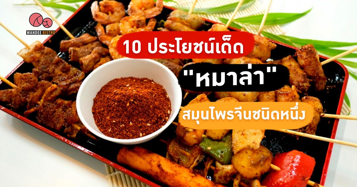 10 ประโยชน์ของหมาล่า สรรพคุณดีๆ จากสมุนไพรจีนสุดฮิต 10 ประโยชน์ของหมาล่า สรรพคุณดีๆ จากสมุนไพรจีนสุดฮิต