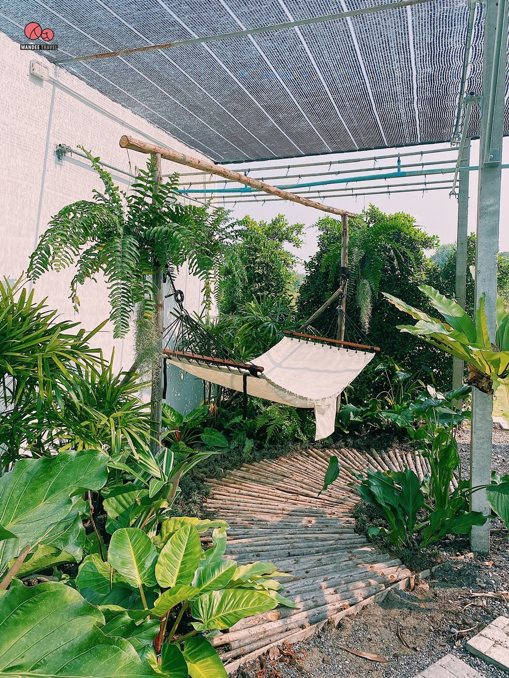 Lemon me Farm คาเฟ่สวนมะนาวสไตล์ญี่ปุ่น น่ารักหนักมาก ถ่ายรูปสวยทุกมุม