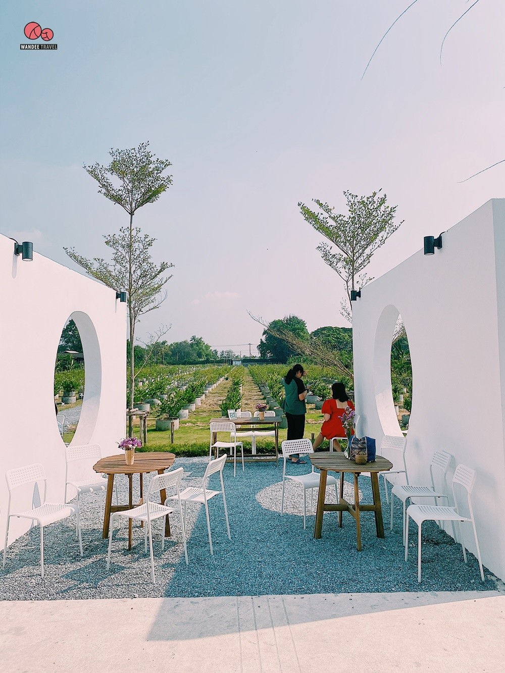 Lemon me Farm คาเฟ่สวนมะนาวสไตล์ญี่ปุ่น น่ารักหนักมาก ถ่ายรูปสวยทุกมุม