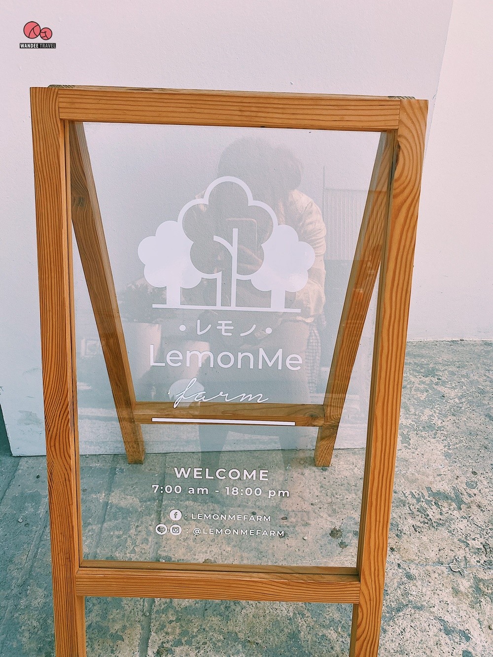 Lemon me Farm คาเฟ่สวนมะนาวสไตล์ญี่ปุ่น น่ารักหนักมาก ถ่ายรูปสวยทุกมุม