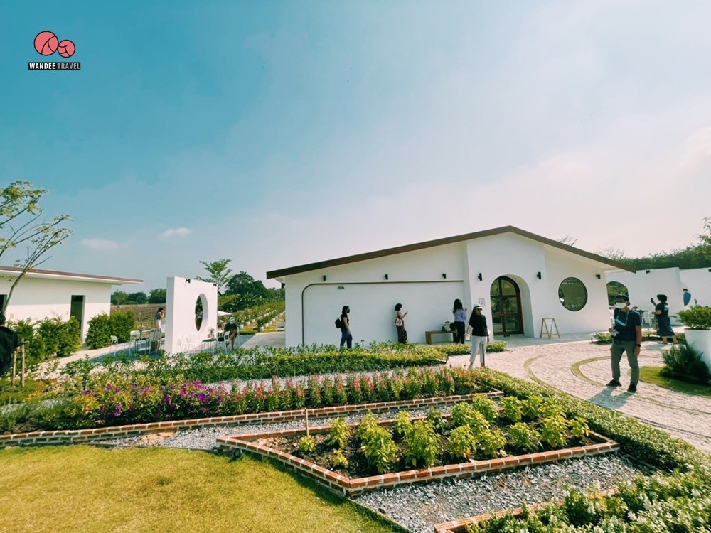 Lemon me Farm คาเฟ่สวนมะนาวสไตล์ญี่ปุ่น น่ารักหนักมาก ถ่ายรูปสวยทุกมุม