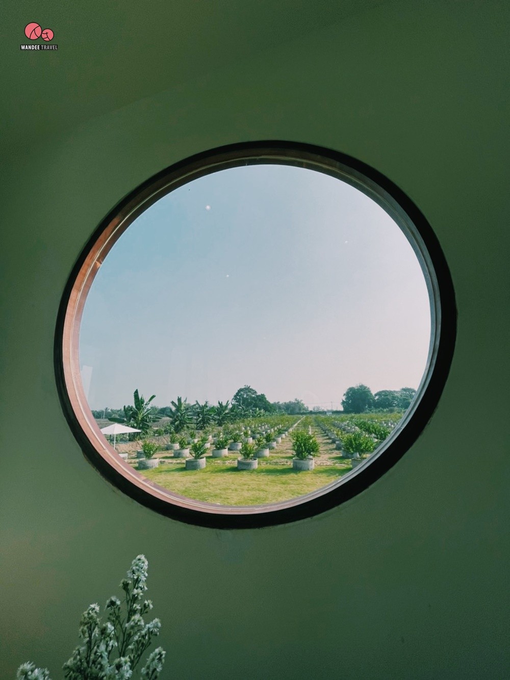 Lemon me Farm คาเฟ่สวนมะนาวสไตล์ญี่ปุ่น น่ารักหนักมาก ถ่ายรูปสวยทุกมุม