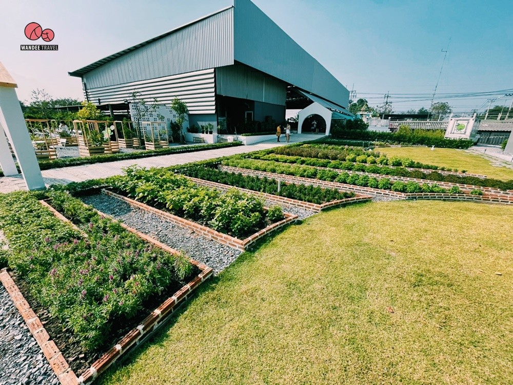 Lemon me Farm คาเฟ่สวนมะนาวสไตล์ญี่ปุ่น น่ารักหนักมาก ถ่ายรูปสวยทุกมุม