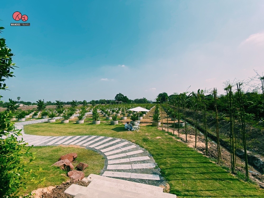 Lemon me Farm คาเฟ่สวนมะนาวสไตล์ญี่ปุ่น น่ารักหนักมาก ถ่ายรูปสวยทุกมุม