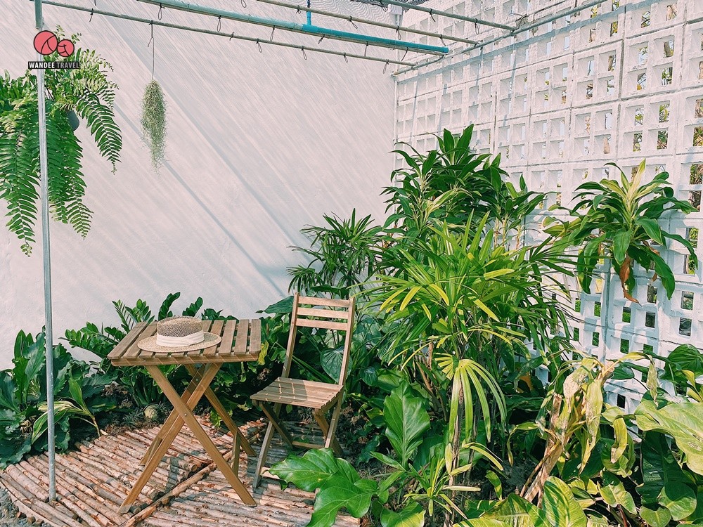 Lemon me Farm คาเฟ่สวนมะนาวสไตล์ญี่ปุ่น น่ารักหนักมาก ถ่ายรูปสวยทุกมุม