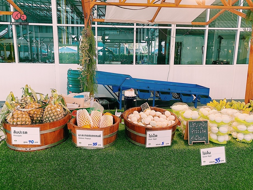 Lemon me Farm คาเฟ่สวนมะนาวสไตล์ญี่ปุ่น น่ารักหนักมาก ถ่ายรูปสวยทุกมุม