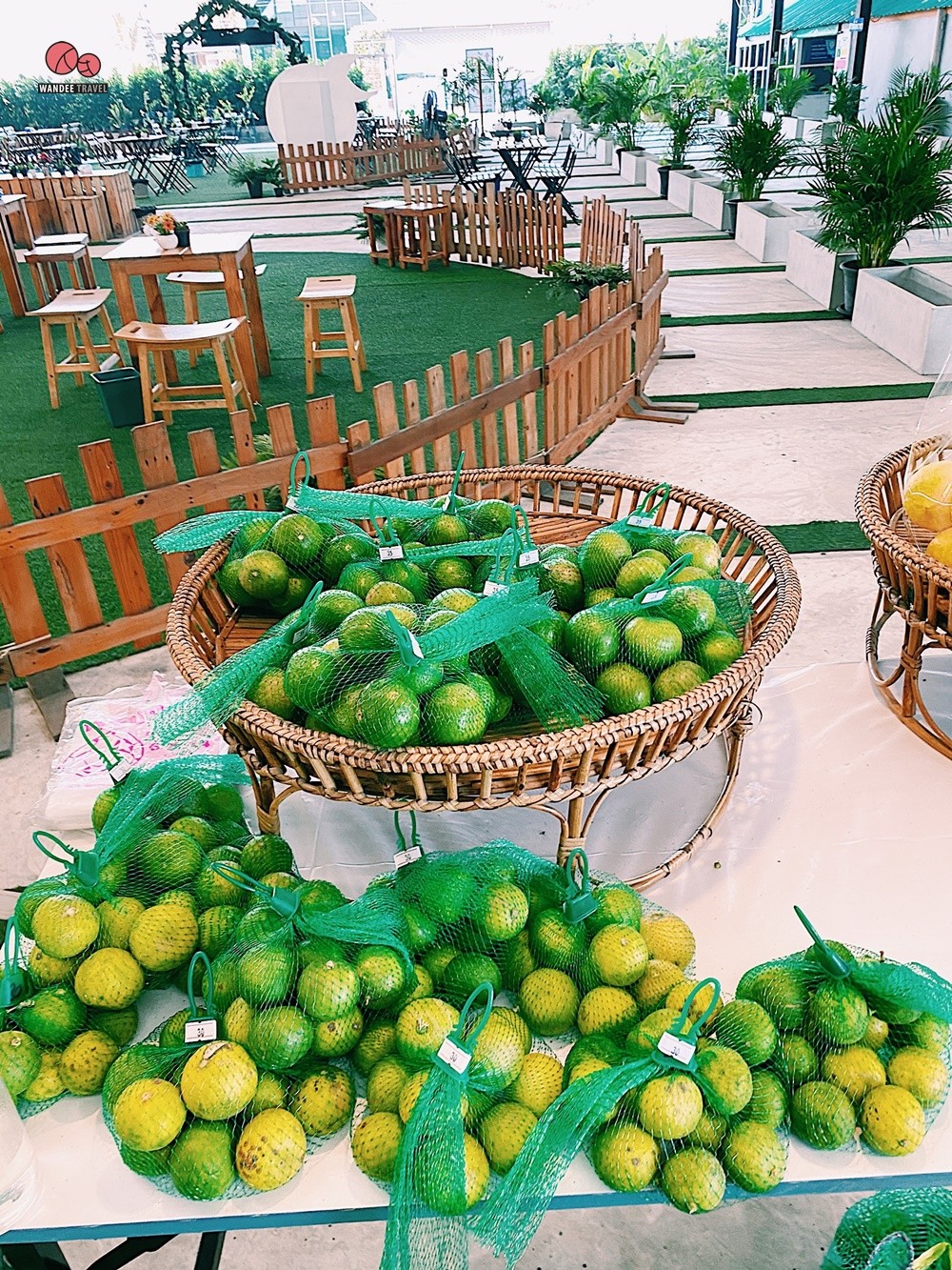 Lemon me Farm คาเฟ่สวนมะนาวสไตล์ญี่ปุ่น น่ารักหนักมาก ถ่ายรูปสวยทุกมุม