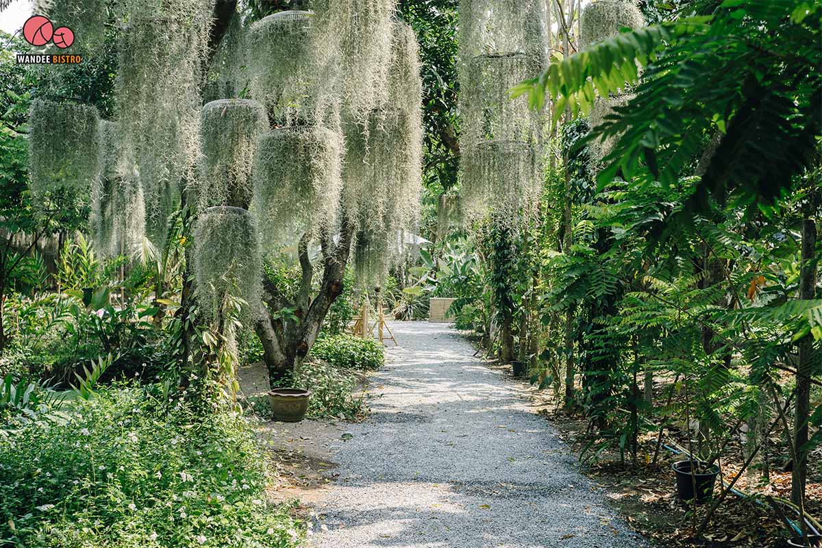 Poomjai Garden ภูมิใจการ์เด้นท์ - ร้านคาเฟ่ในสวนลิ้นจี่ พักผ่อนกับบรรยากาศธรรมชาติ ท่ามกลางต้นไม้นานาพันธุ์