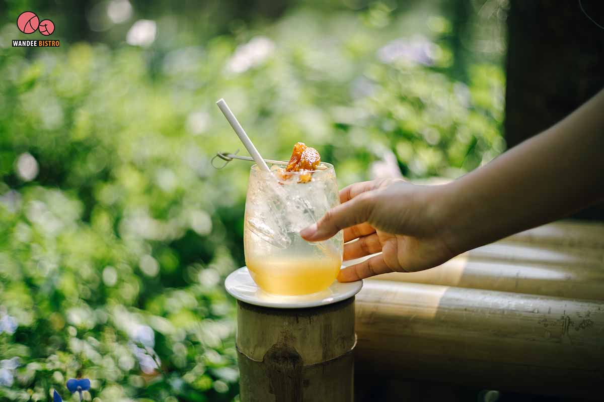 Poomjai Garden ภูมิใจการ์เด้นท์ - ร้านคาเฟ่ในสวนลิ้นจี่ พักผ่อนกับบรรยากาศธรรมชาติ ท่ามกลางต้นไม้นานาพันธุ์