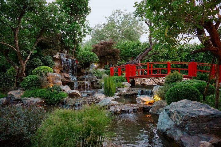5 ที่เที่ยวเชียงใหม่ สวยเหมือนได้ไปเที่ยวญี่ปุ่น