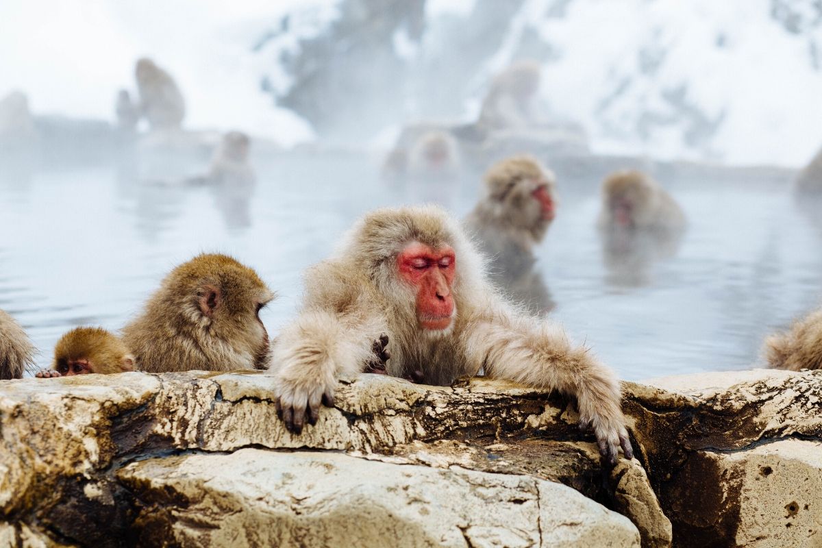 รวม 7 เมืองมีหิมะน่าเที่ยวในเอเชีย ไม่ต้องไปไกลถึงยุโรป